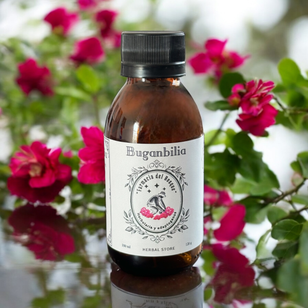 Bugambilia "Bougainvillea glabra"