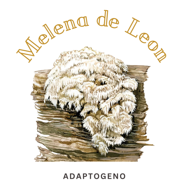 Melena de Leon "Hericium erinaceus"